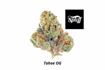 Tahoe OG