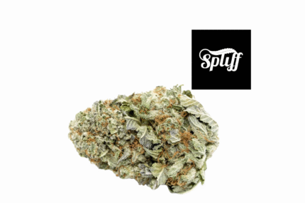 Skywalker OG